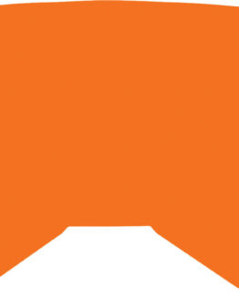 Replacement Orange Mirror/Smoke Lens w/ Posts For Youth Zone/Focus Goggle