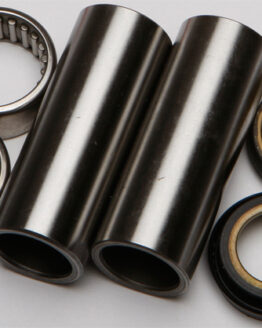 Swing Arm Bearing Kit