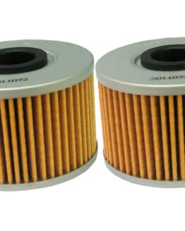 HF114 Oil Filter - 2 Pack