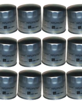 HF163 Oil Filter - 12 Pack