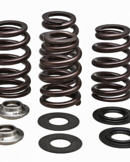 Racing Valve Spring Kit