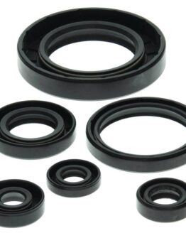 Vertex Engine Oil Seal Kit 822204