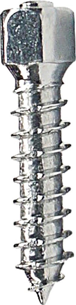 10022_fe757cdb.jpg