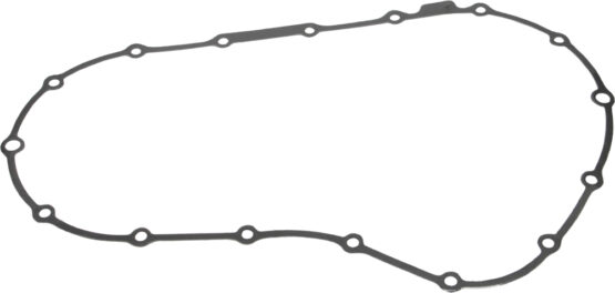 Single Primary Gasket Replaces 34955-04