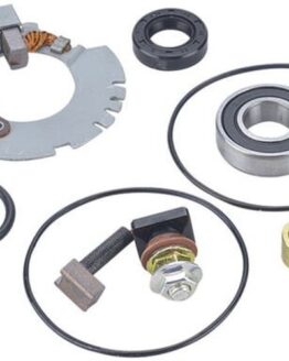 Starter Rebuild W/Brush