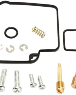 Carburetor Repair Kit
