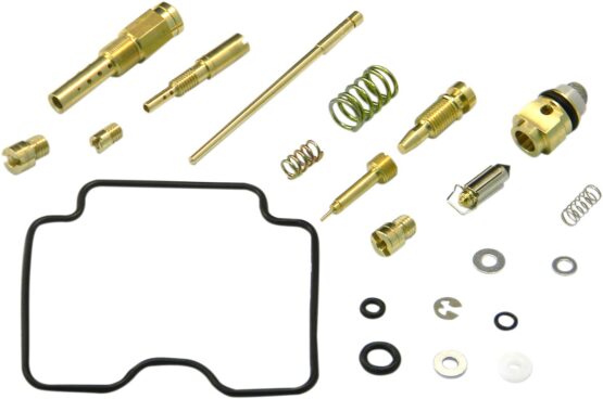 Carburetor Repair Kit