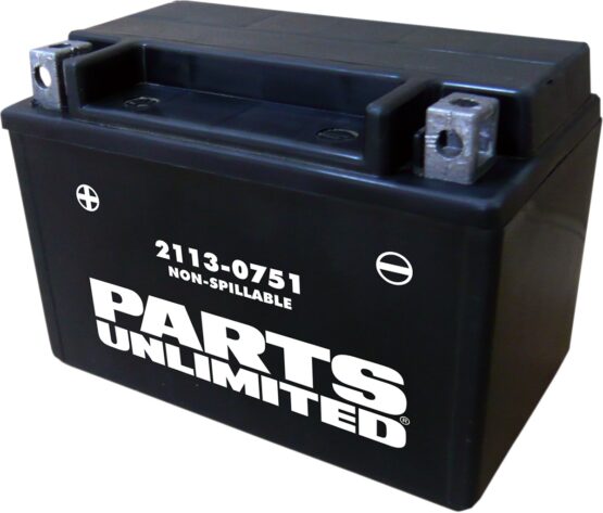AGM Maintenance Free Battery 130CCA 12V 8Ah Factory Activated