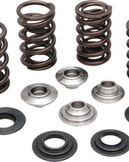 Racing Valve Spring Kit .650 Lift