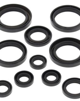 Vertex Engine Oil Seal Kit Fits 04-05 Honda TRX450R