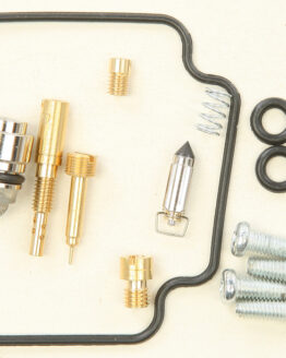Carburetor Repair Kit