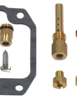 Carburetor Repair Kit