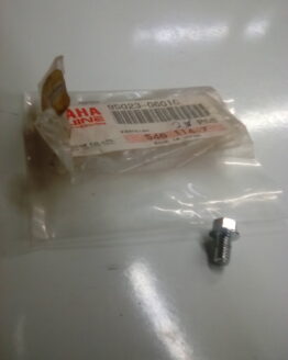 Yamaha Flange Bolt M6 x 10 mm 95023-06010-00 (Superseded)