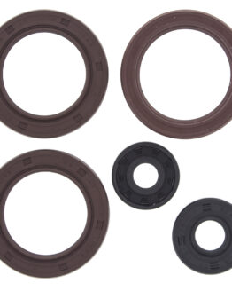 Vertex Engine Oil Seal Kit Fits 2007-2014 Can-Am