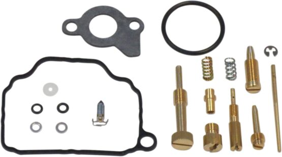 Carburetor Repair Kit