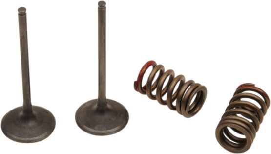 Steel Intake Valve/Spring Kit - Image 2