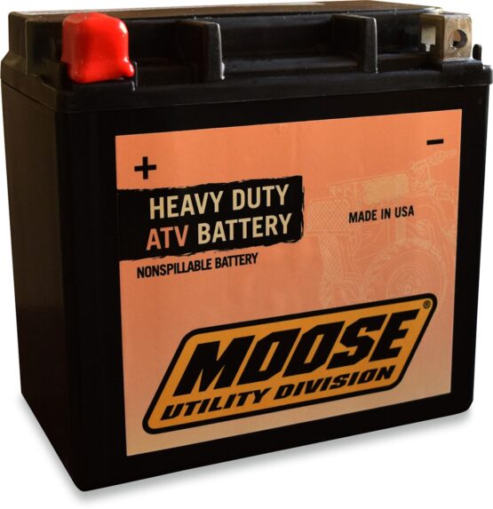 AGM Maintenance Free Battery