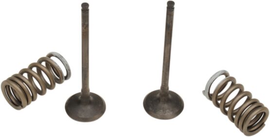 Steel Exhaust Valve/Spring Kit - Image 2