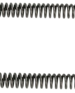 Fork Spring Kit
