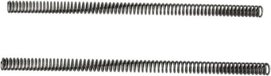 Fork Spring Kit