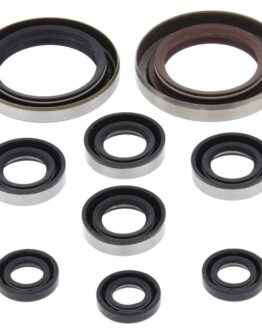 Vertex Oil Seal Kit Fits 07-11 KTM Polaris