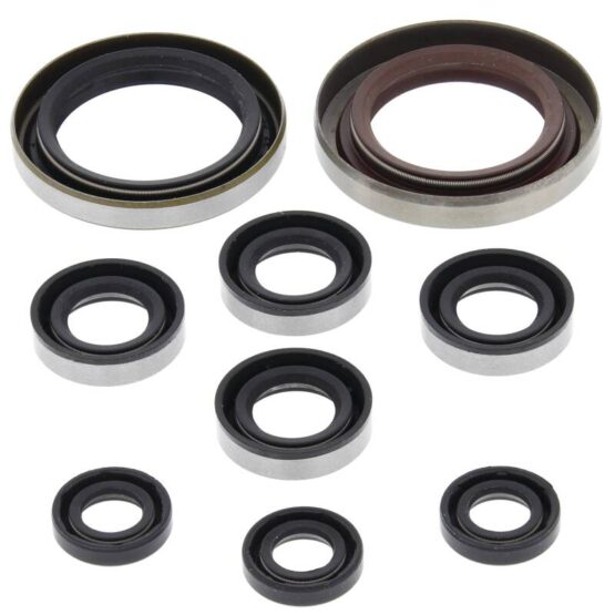 Vertex Oil Seal Kit Fits 07-11 KTM Polaris