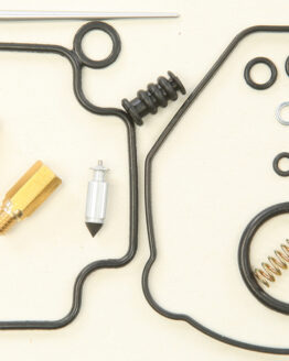 Carburetor Repair Kit
