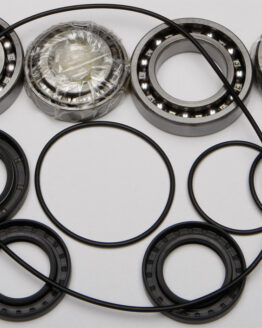 Differential Bearing & Seal Kit
