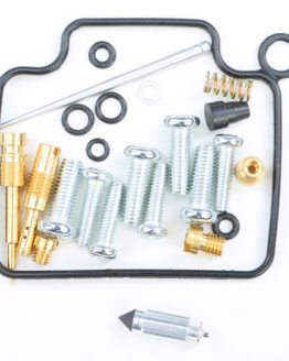Carburetor Repair Kit
