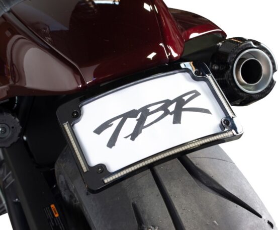 Two Brothers Racing Fender Eliminator Kit with LP Light For Sportster S