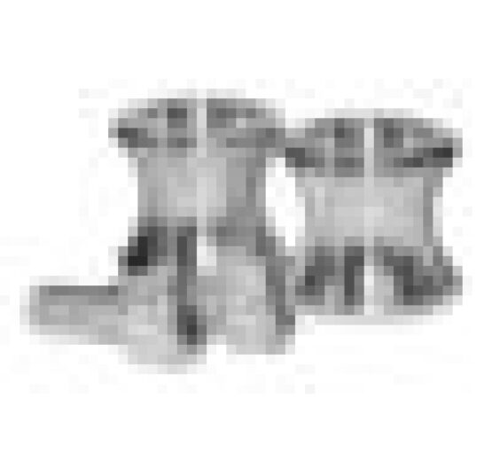 Swingarm Spools - Image 2
