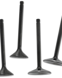 Black Diamond Intake & Exhaust Valve Set (2ea)