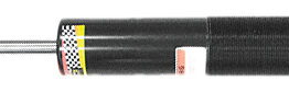 Gas Ski Shock