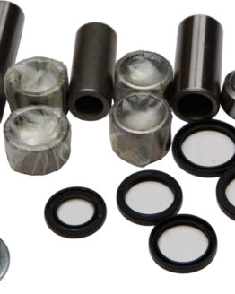 Swing Arm Linkage Bearing & Seal Kit