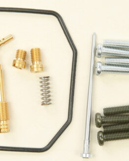 Carburetor Repair Kit