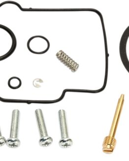 Carburetor Repair Kit