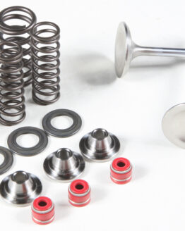 Intake Valve Spring Kit