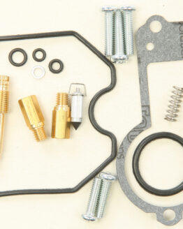 Carburetor Repair Kit