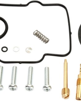 Carburetor Repair Kit