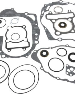 Complete Gasket Kit w/Oil Seals