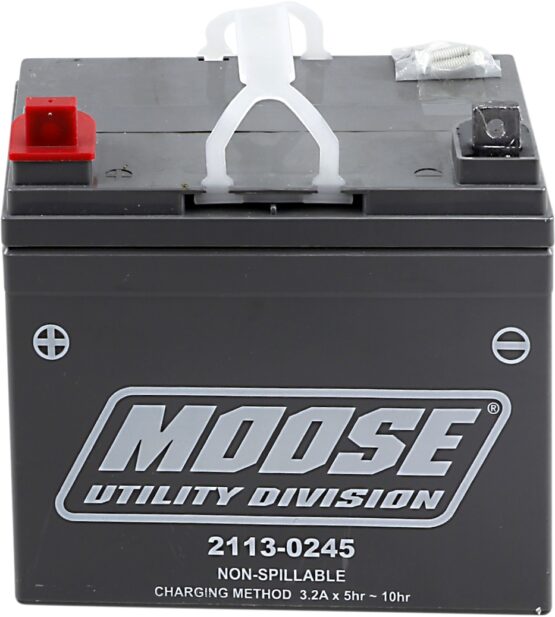 AGM Maintenance Free Battery