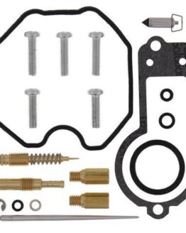 Carburetor Rebuild Kit