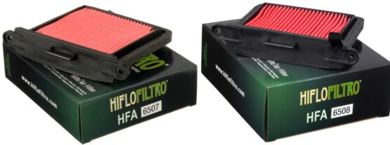 Air Filter Kit - Replaces Triumph T2206531 & T2206530 For Left & Right Side