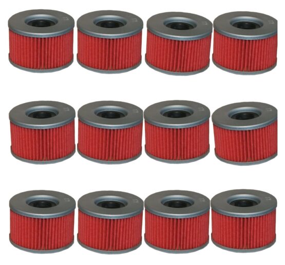 HF111 Oil Filter - 12 Pack