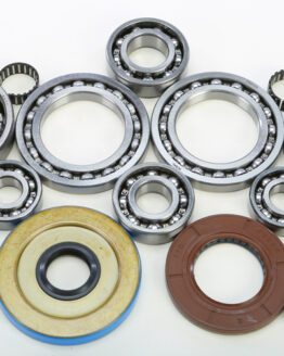 Differential Bearing & Seal Kit