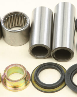 Swing Arm Bearing Kit