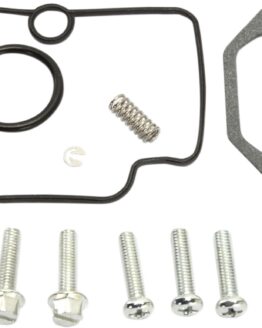 Carburetor Repair Kit