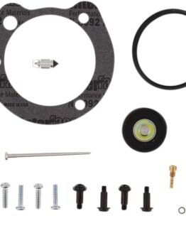 Carburetor Rebuild Kit