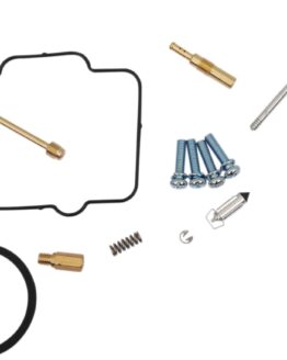 Carburetor Repair Kit