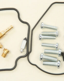 Carburetor Repair Kit